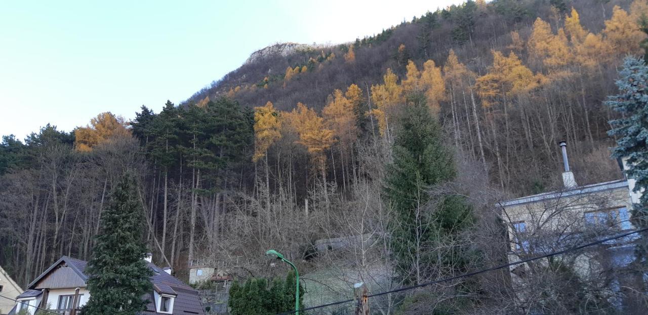 Brasov Valley Διαμέρισμα Εξωτερικό φωτογραφία