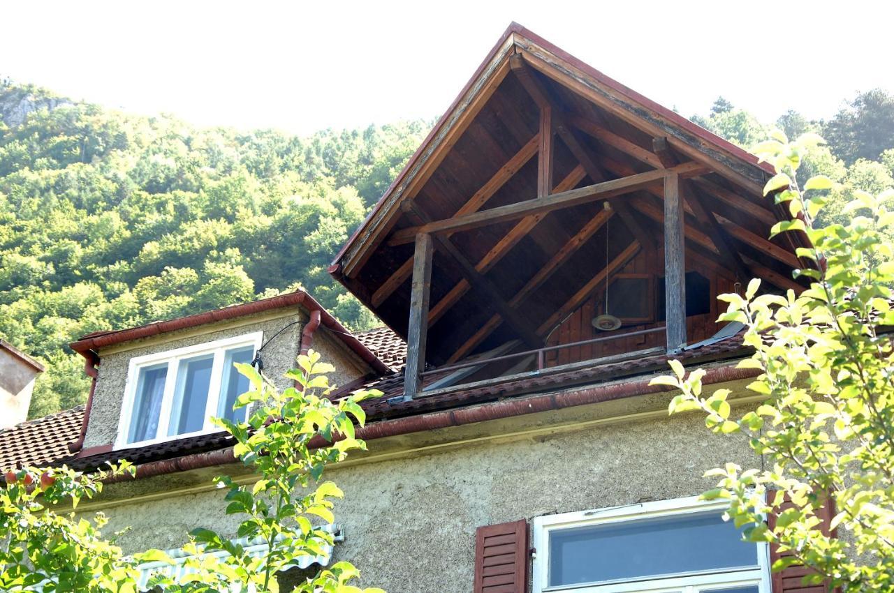 Brasov Valley Διαμέρισμα Εξωτερικό φωτογραφία